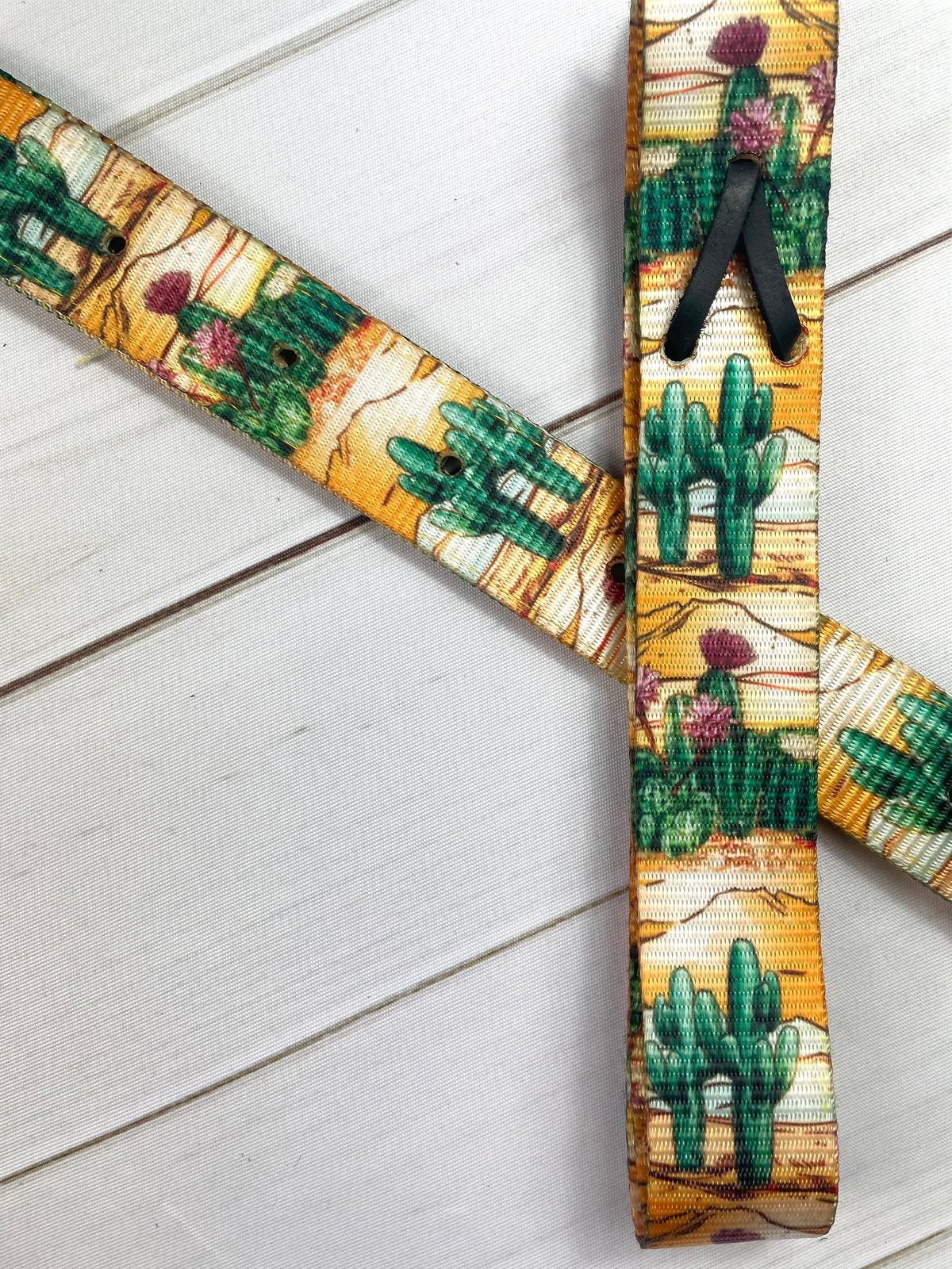 Desert Cactus Sunset Cinch Strap Set
