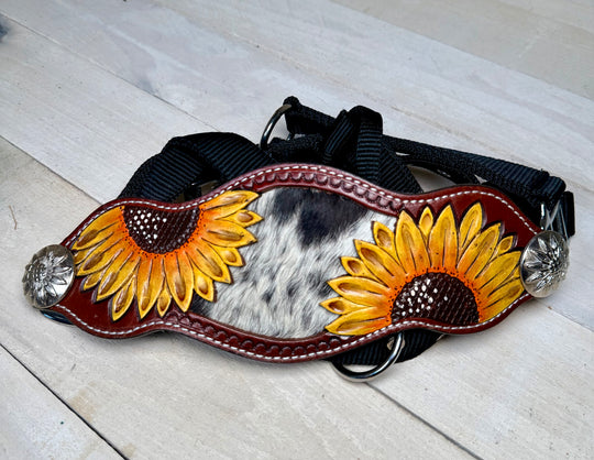 Painted Sunflower Cowhide  Concho Bronc Halter