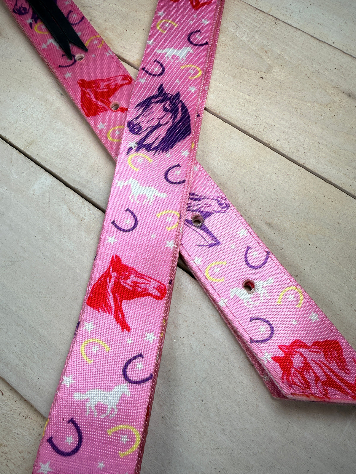 Pink and Purple Horseshoes Cinch Strap