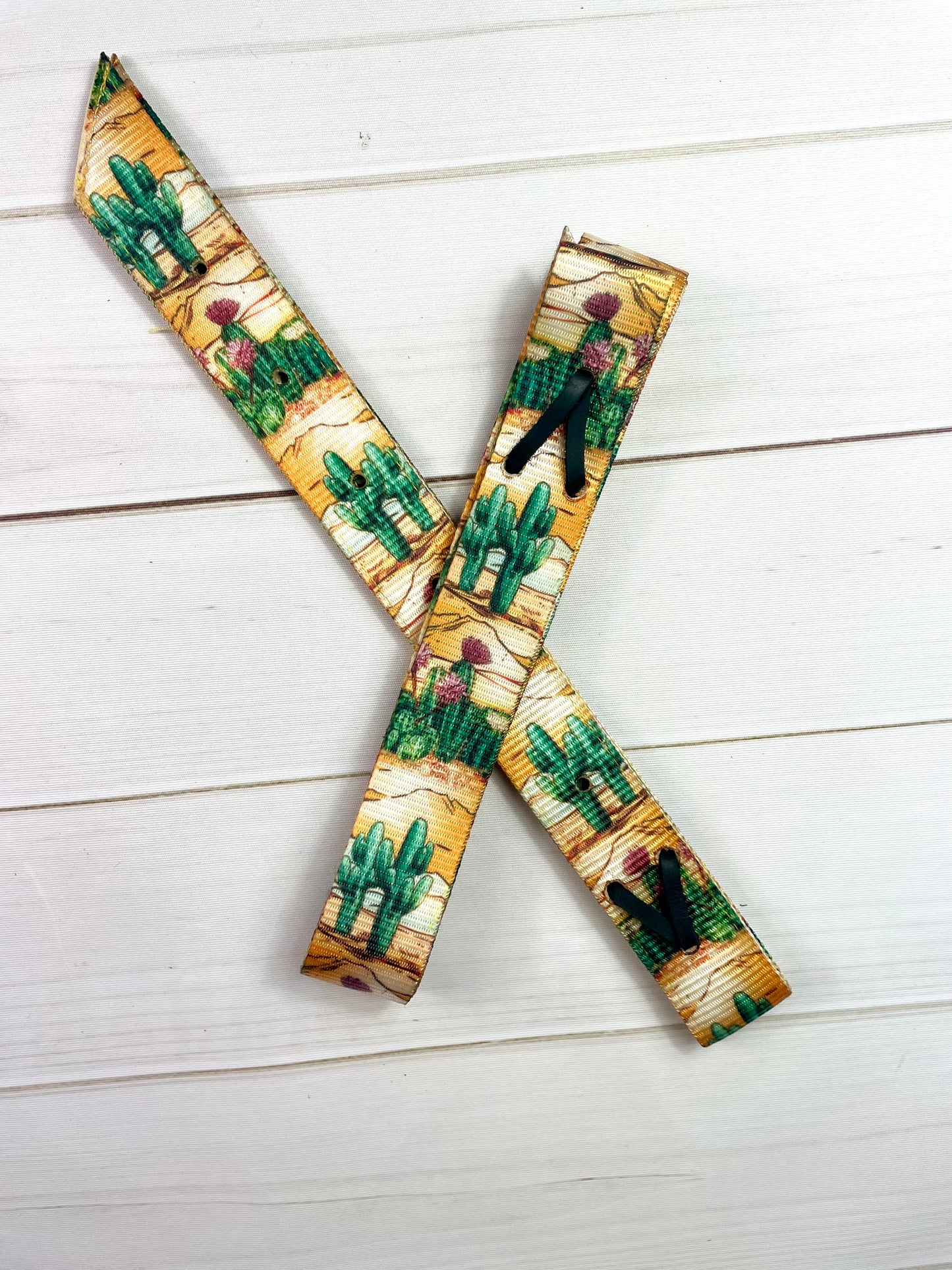 Desert Cactus Sunset Cinch Strap Set