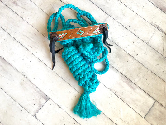 Feather and Diamond Tooled Halter on Teal Nylon Muletape