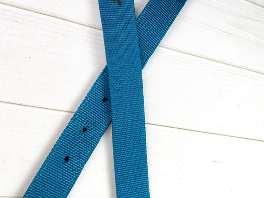 Turquoise Blue Cinch Strap Set