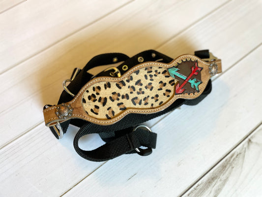 Cheetah Arrow Bronc Halter
