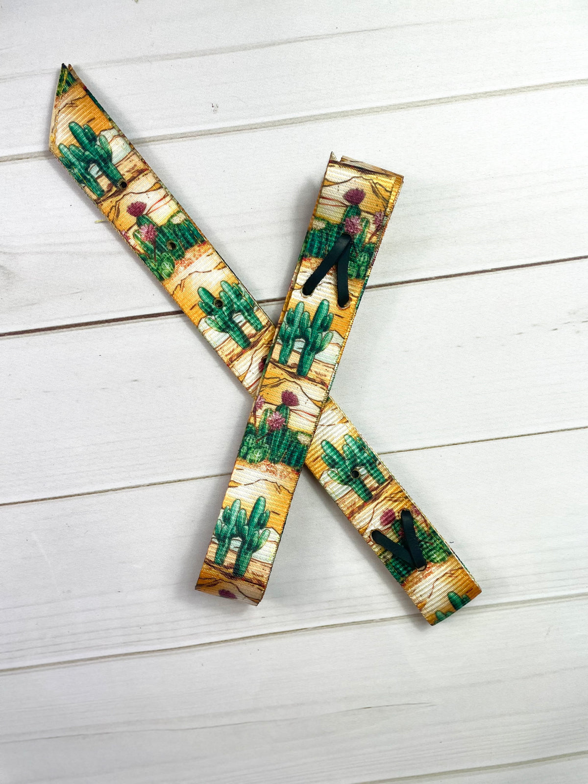 Desert Cactus Sunset Cinch Strap Set